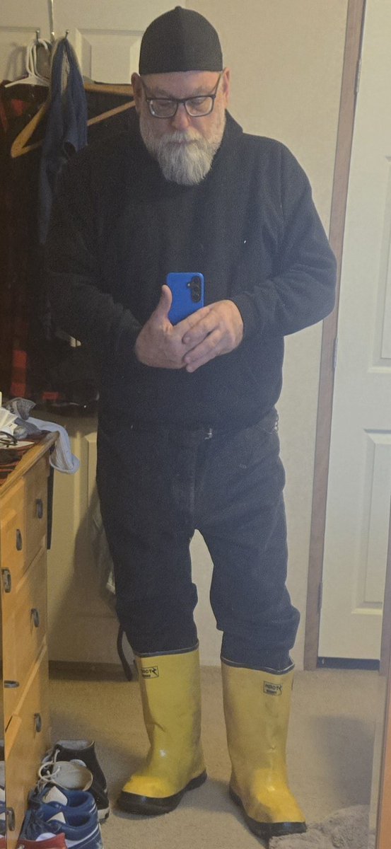 allamericanbear tweet media