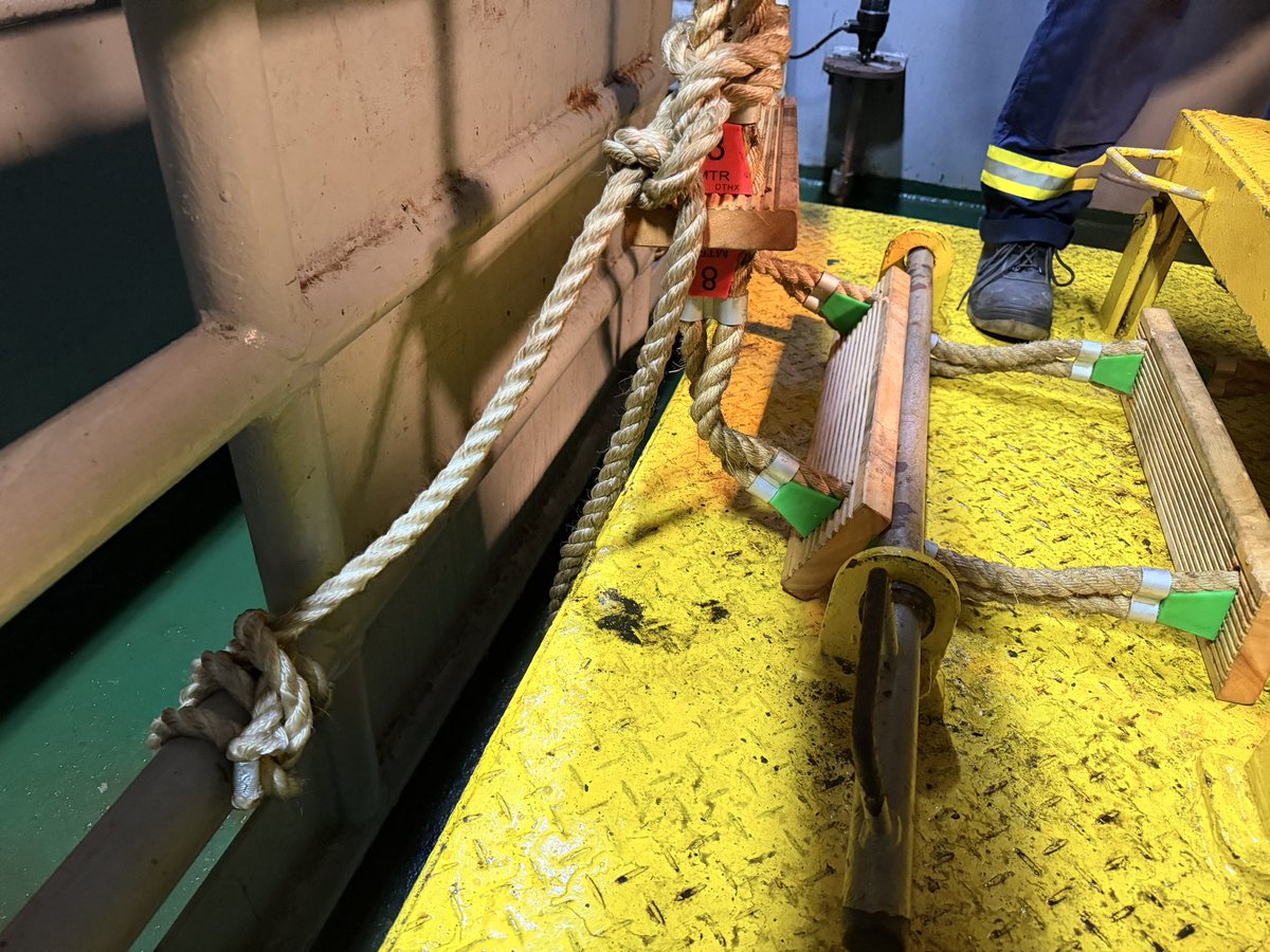 Dave Willows 🇨🇦 tweet media