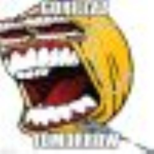 12FreeFour tweet media