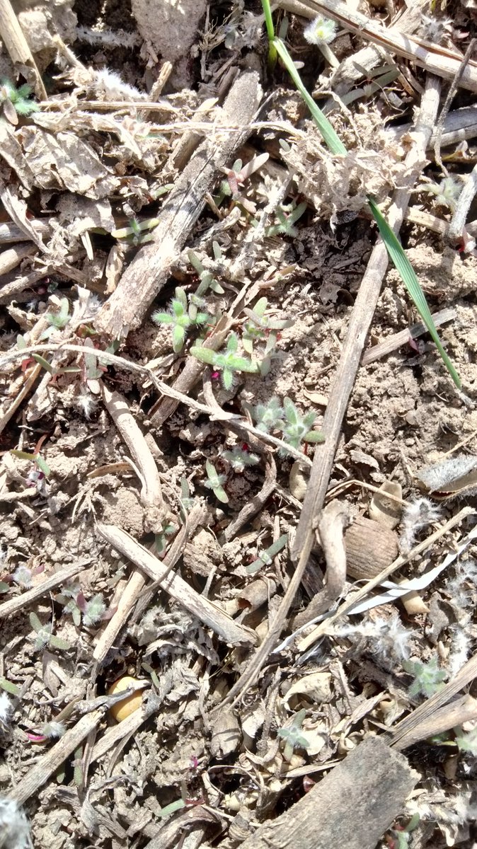 Jeremie Kouame tweet media