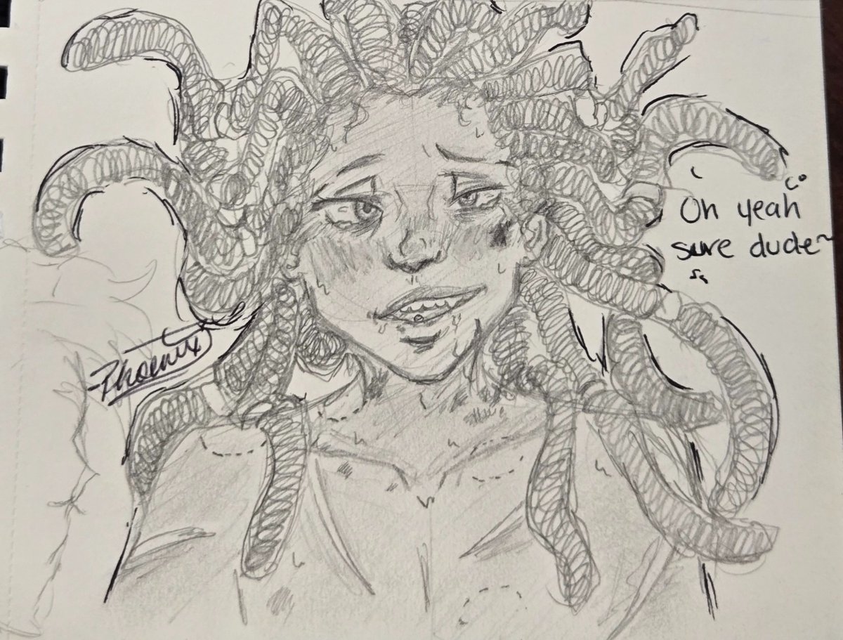 Phoenix the Writer tweet media