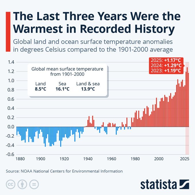 Peter Jamieson tweet media