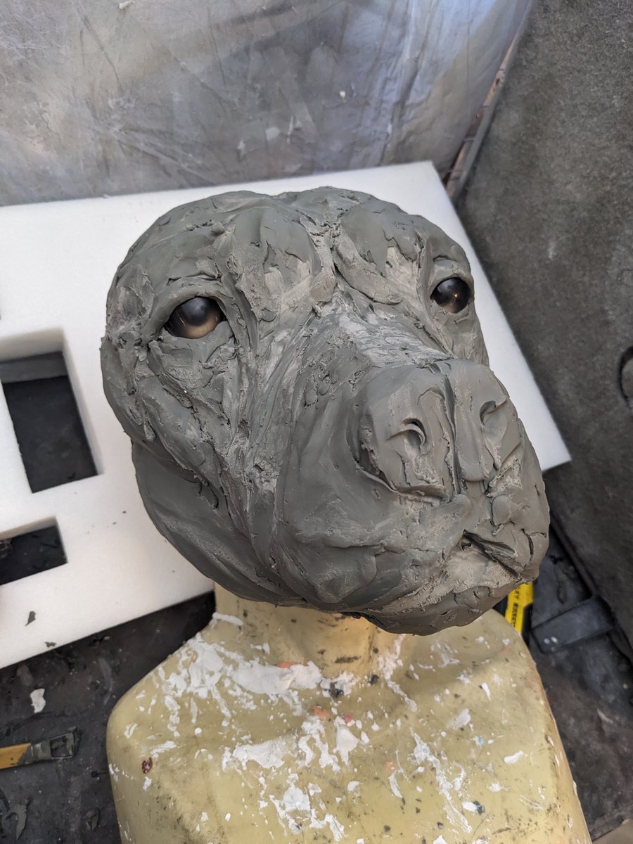 Motley Crow Masks tweet media