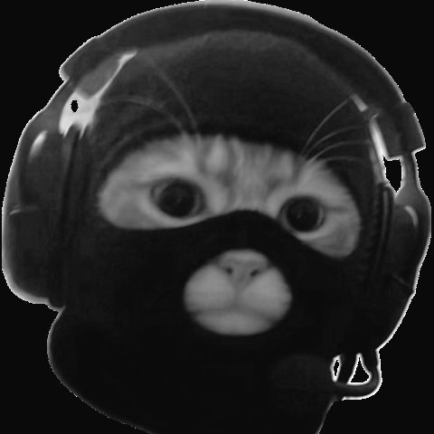 When the didn't buy the $mask dip but you did so now your a millionaire.