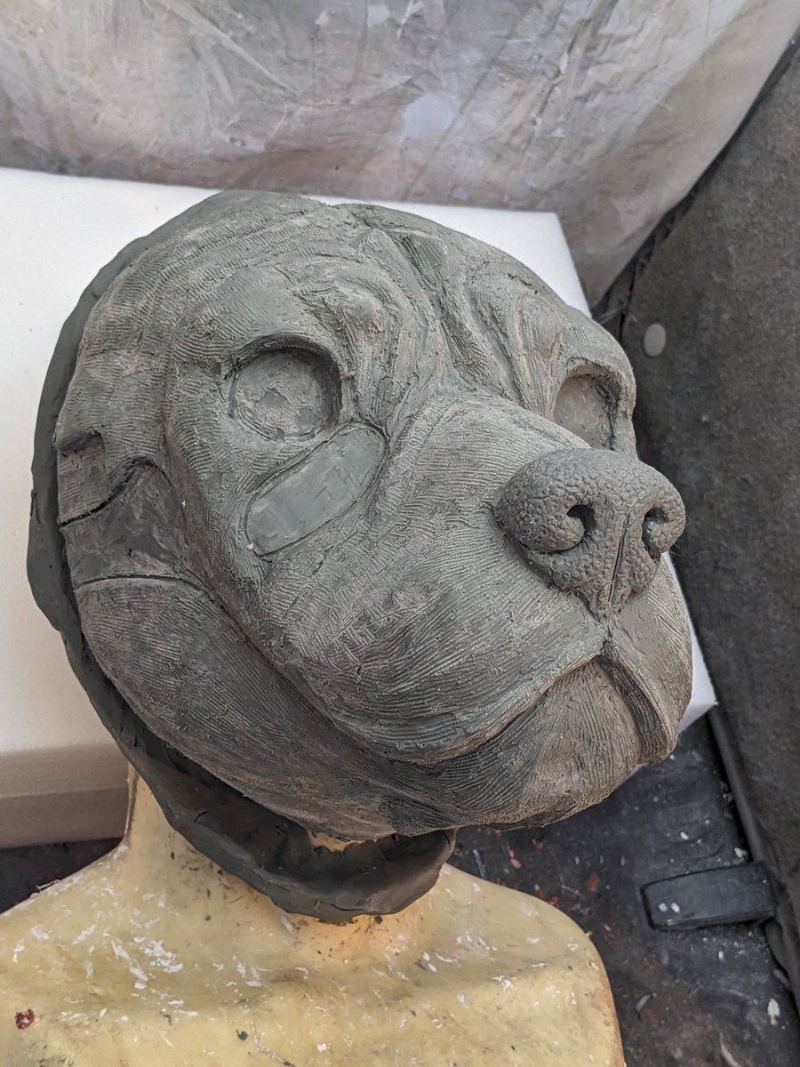 Motley Crow Masks tweet media