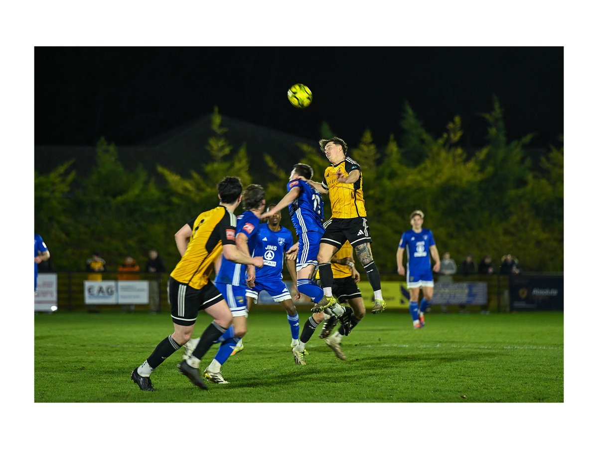 Sean Doyle tweet media