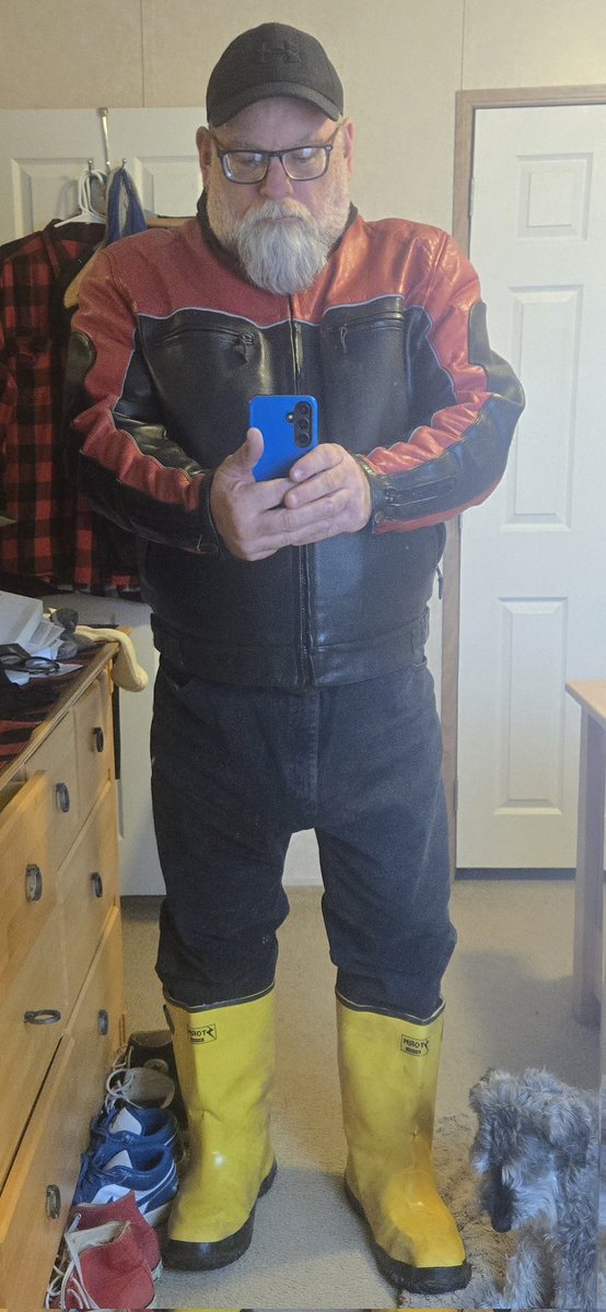 allamericanbear tweet media