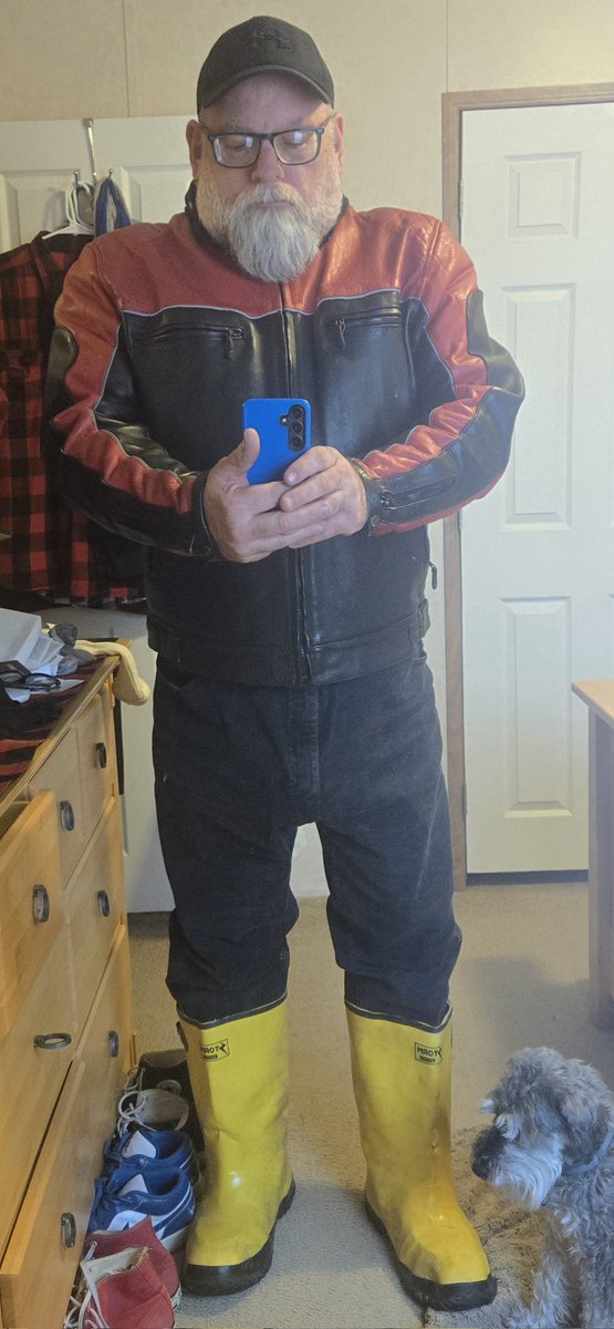 allamericanbear tweet media