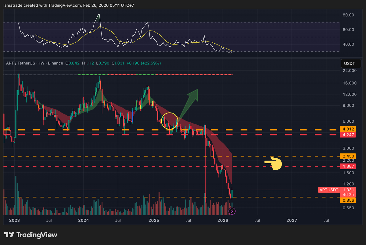 Lamatrade (ลาออกมาเทรด) tweet media