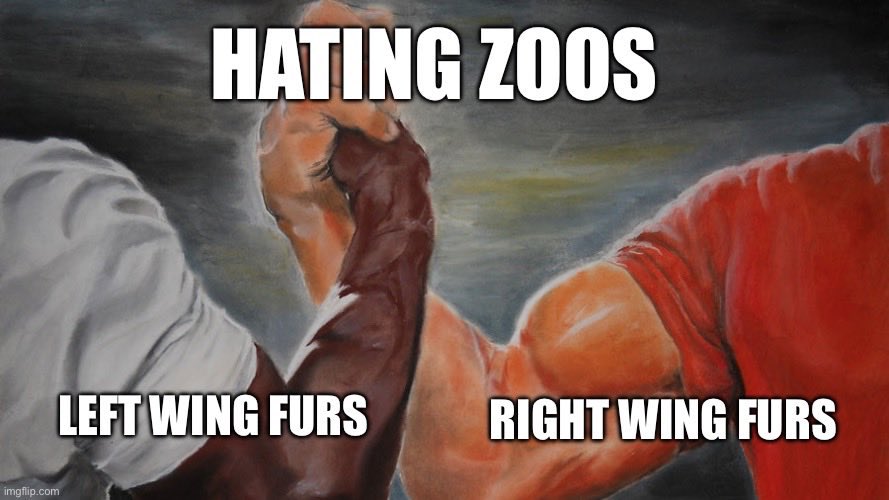 Godzerah Godzerah tweet media