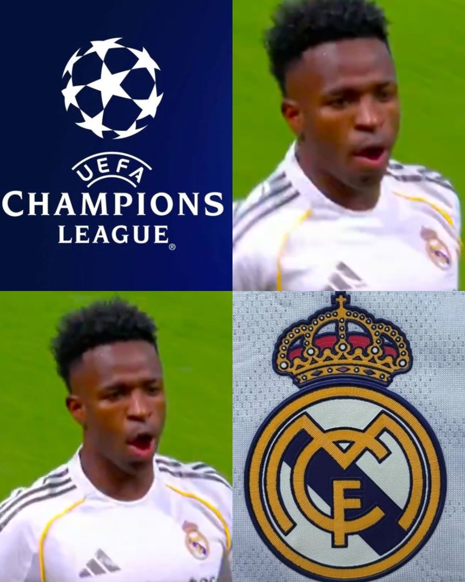 Invictos tweet media