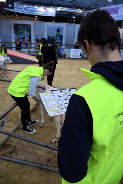 La Chèvre tweet media