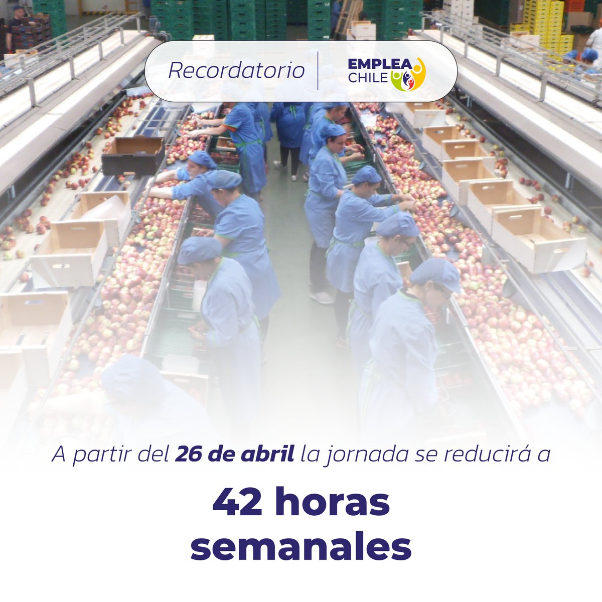 Emplea Chile tweet media