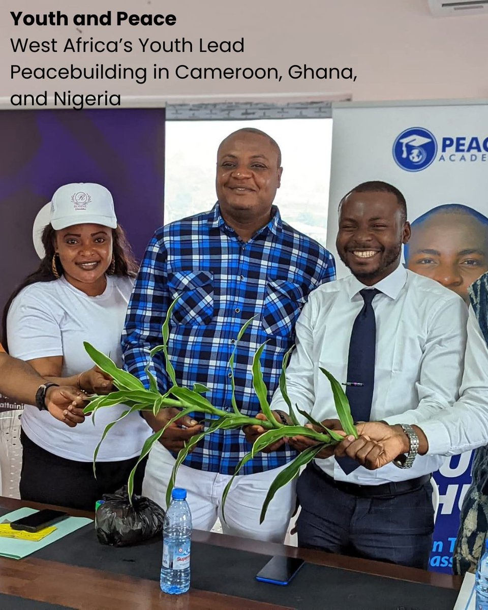 Peace News Network tweet media