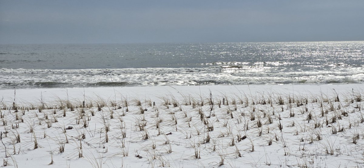 Justin? more like 🚍tin tweet media