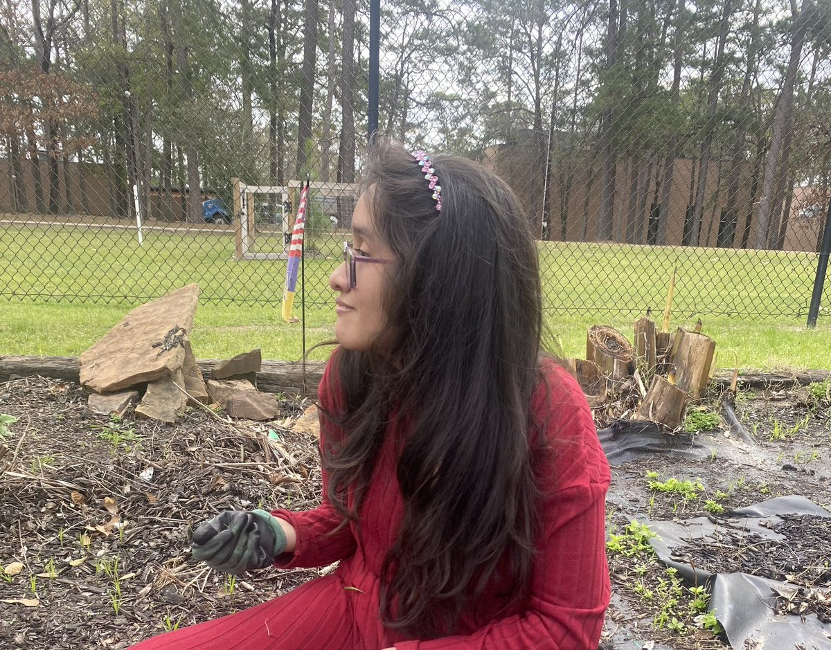 Mosaic_HumbleISD tweet media