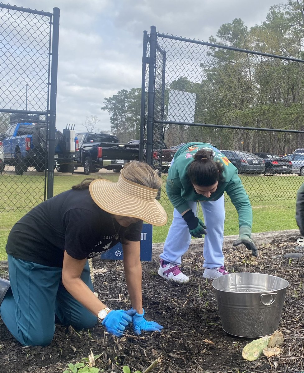 Mosaic_HumbleISD tweet media