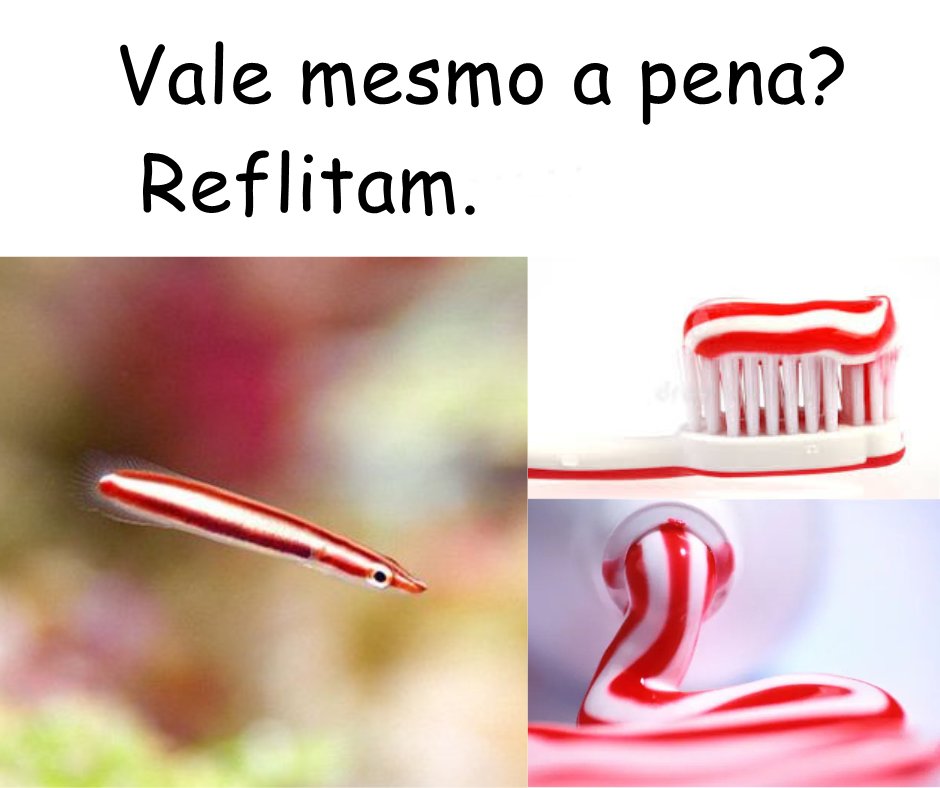 ElfaDosInsetos's tweet photo. Canalhas. https://t.co/neFqa9xofe