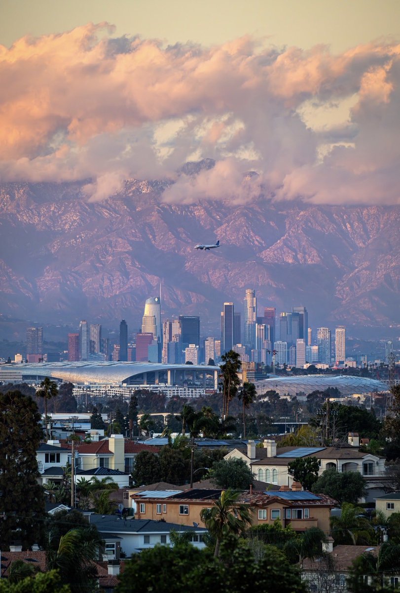 Brandon Yoshizawa tweet media