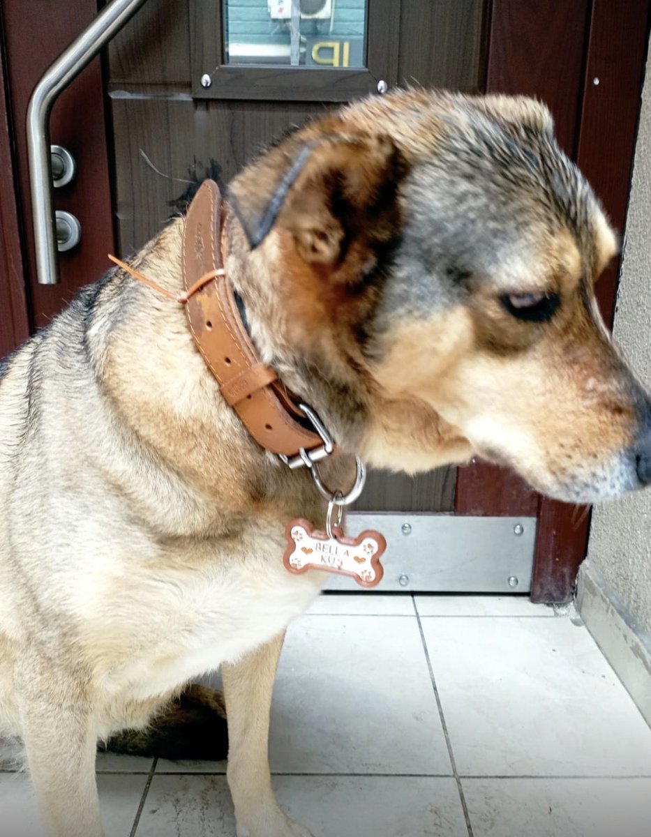 Prof. Dr. Bengi BAŞER tweet media