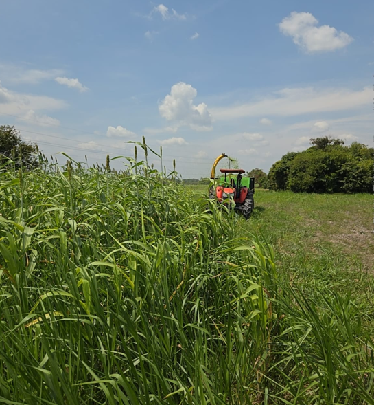 Tame Pasión Ganadera tweet media