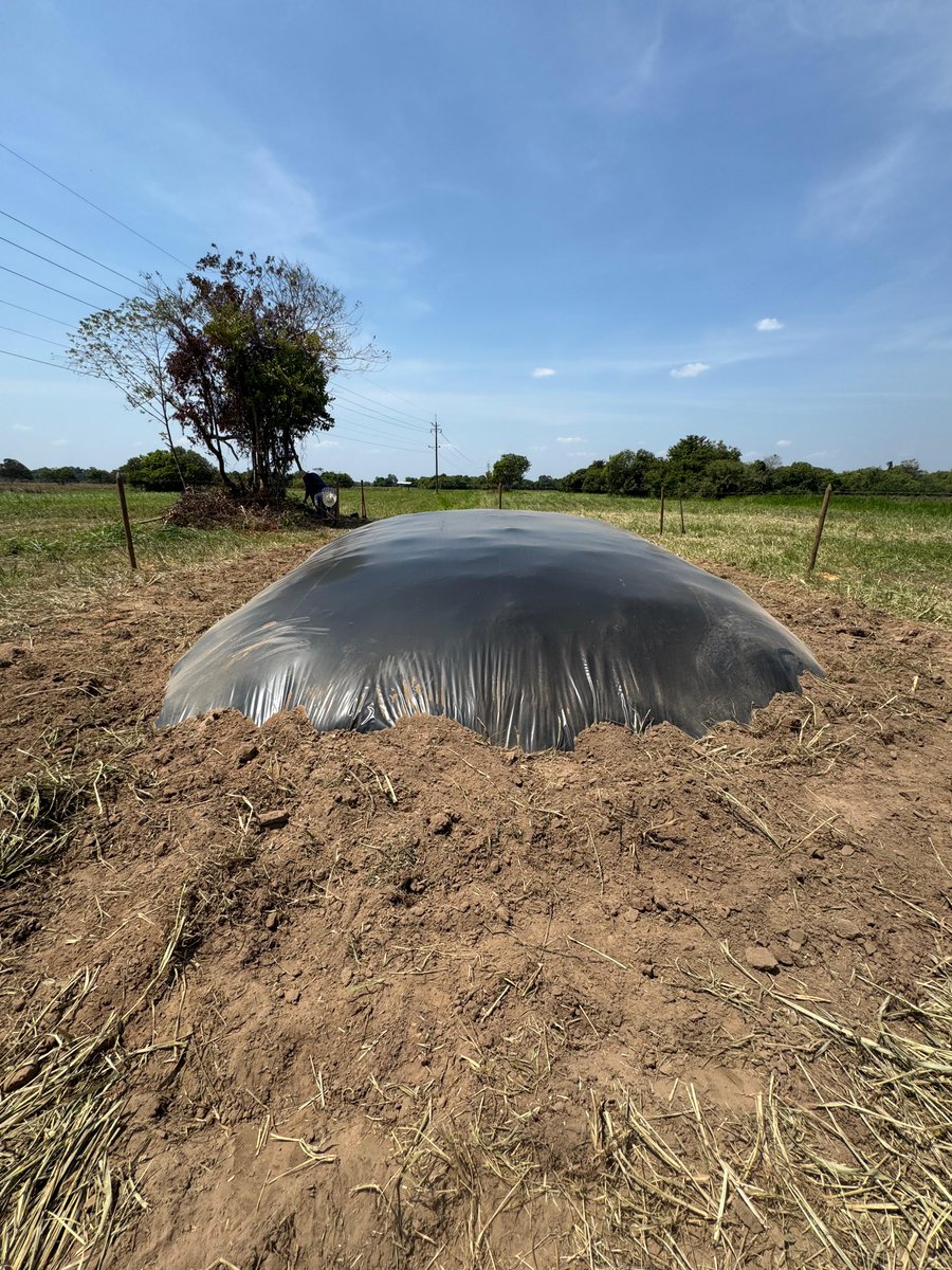 Tame Pasión Ganadera tweet media