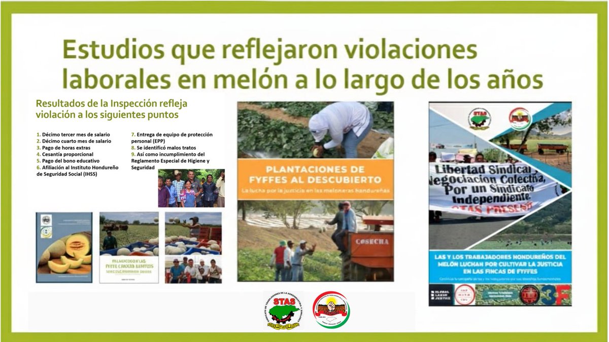 Festagro's tweet photo. El 23 de febrero de 2026, el Sindicato  (STAS) presentó hallazgos de la (SETRASS) (2012, 2020 y 2025) que evidencian violaciones laborales en Suragro y Melon Export, hoy propiedad de Martori Farms.
En Choluteca, organizaciones nacionales e internacionales como GLJ y 3F Dinamarca. https://t.co/ScVVs4CwPv