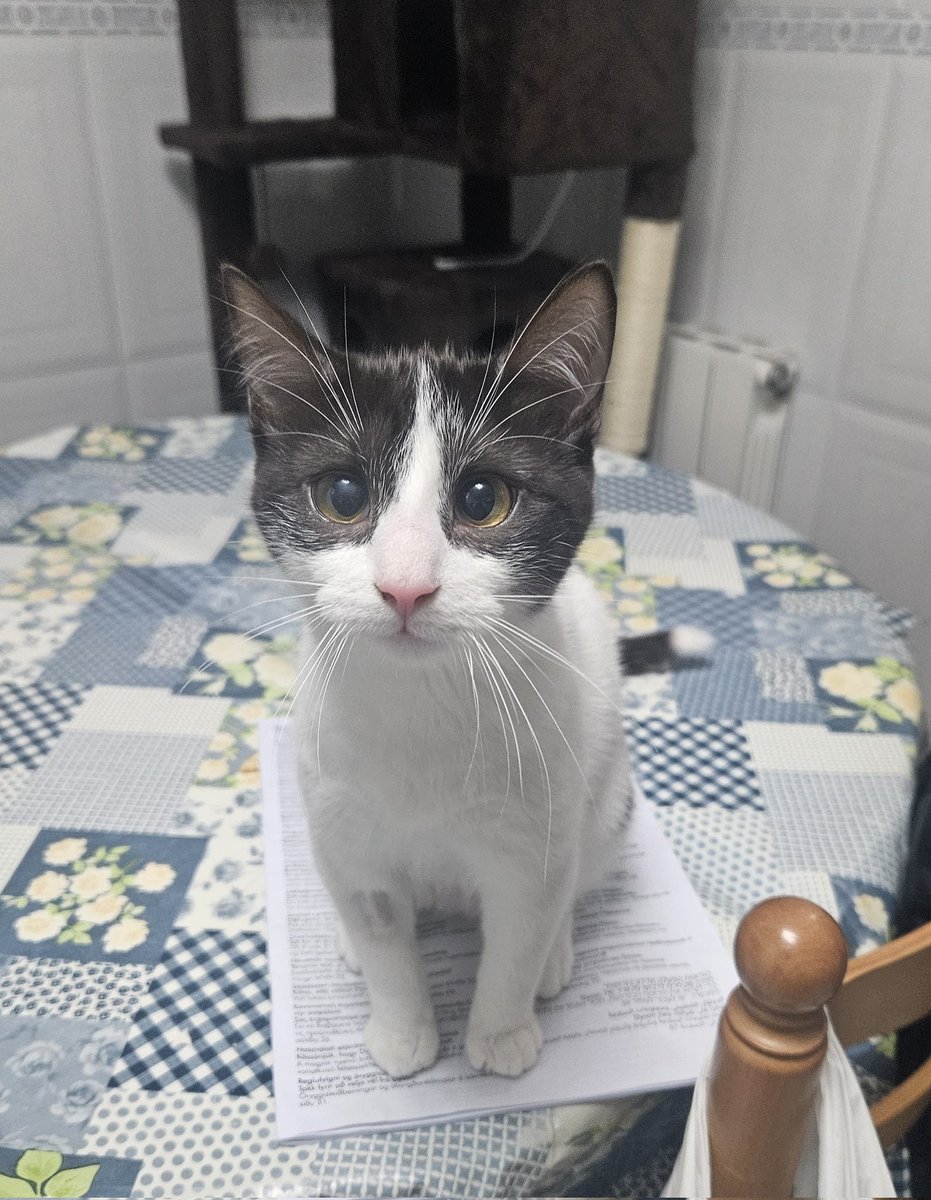 Ha dado negativo amigossss se festeja 🥹🥹🥹🥹