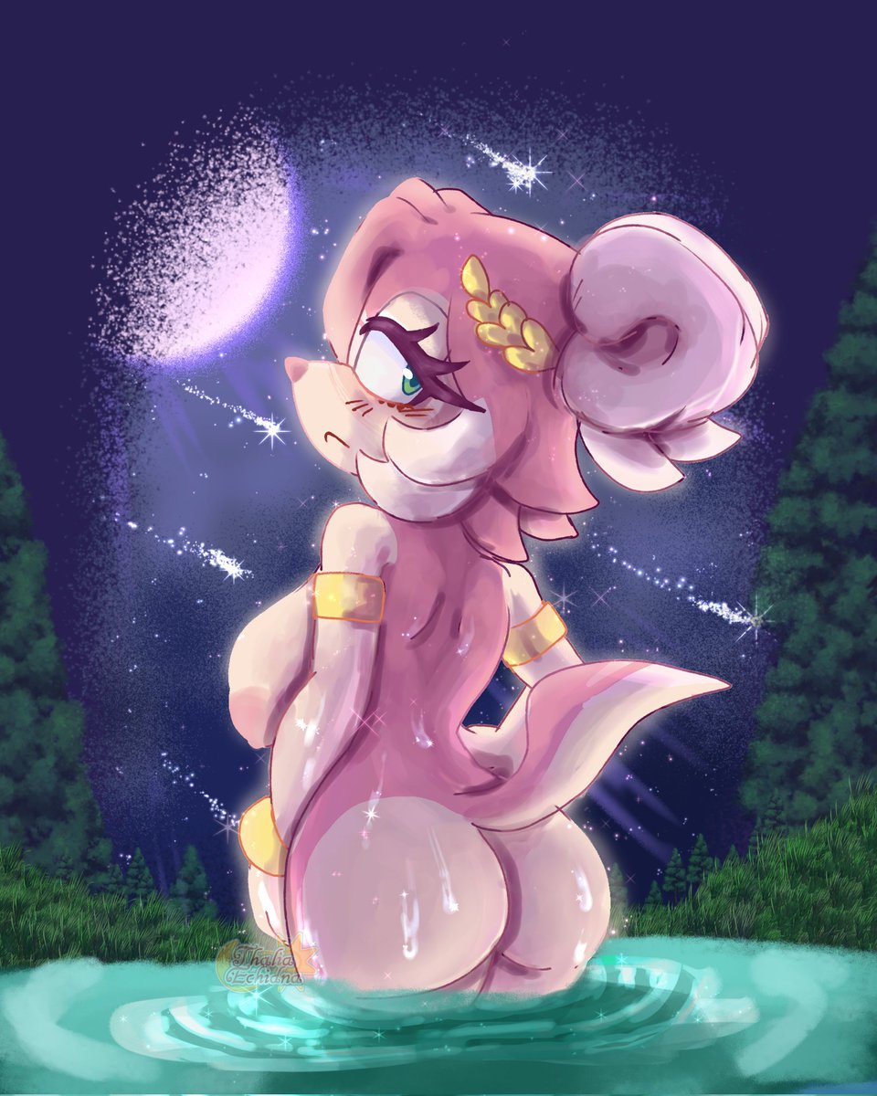 🔞⚡️CircuitAfterDark || Road to 2k! tweet media