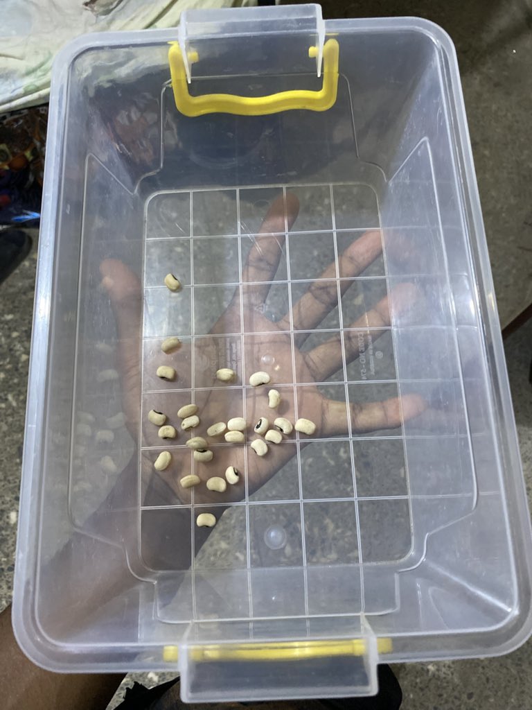 𝐇𝐀𝐑𝐕𝐄𝐒𝐓𝐎𝐑 tweet media