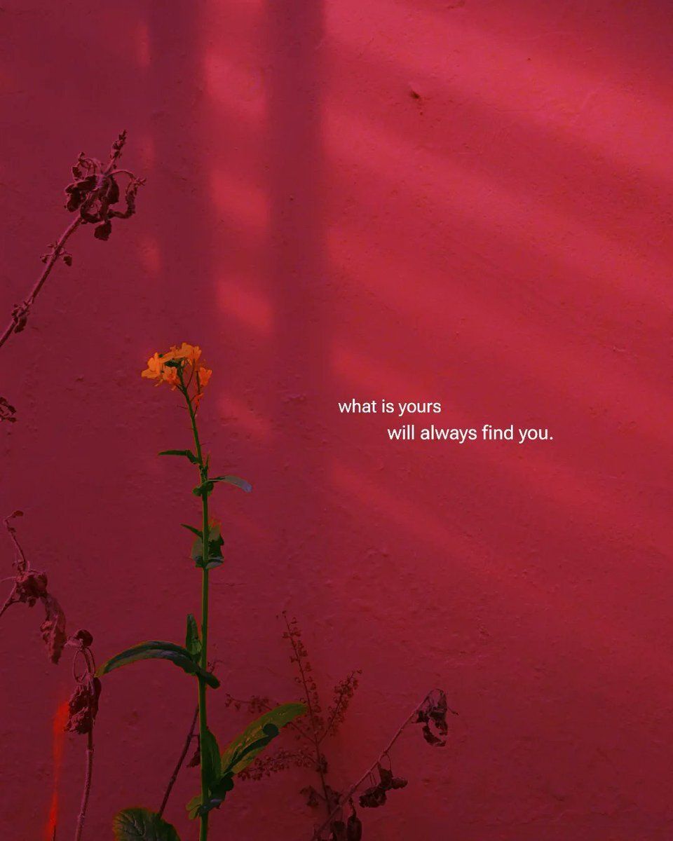 feelings ღ (@eternaltxts) on Twitter photo 