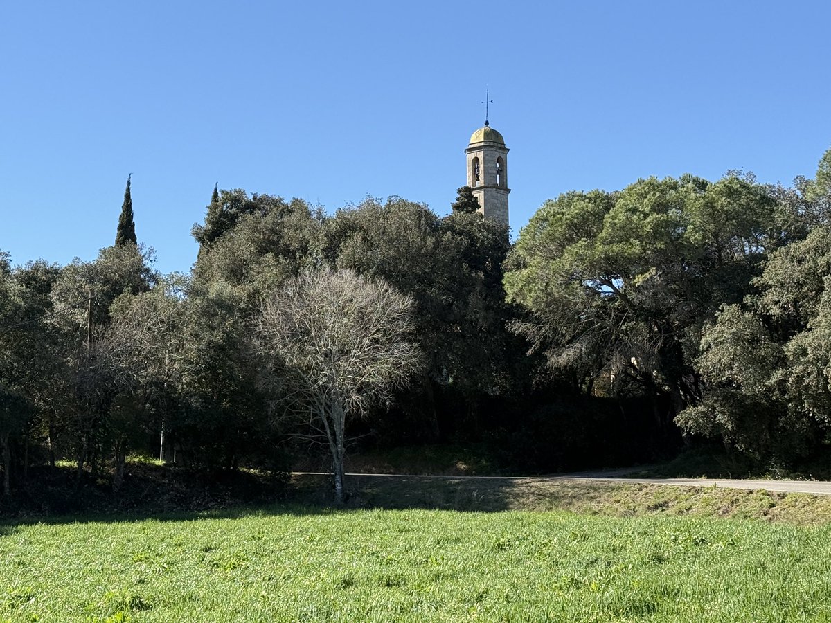 Pep Espelt tweet media