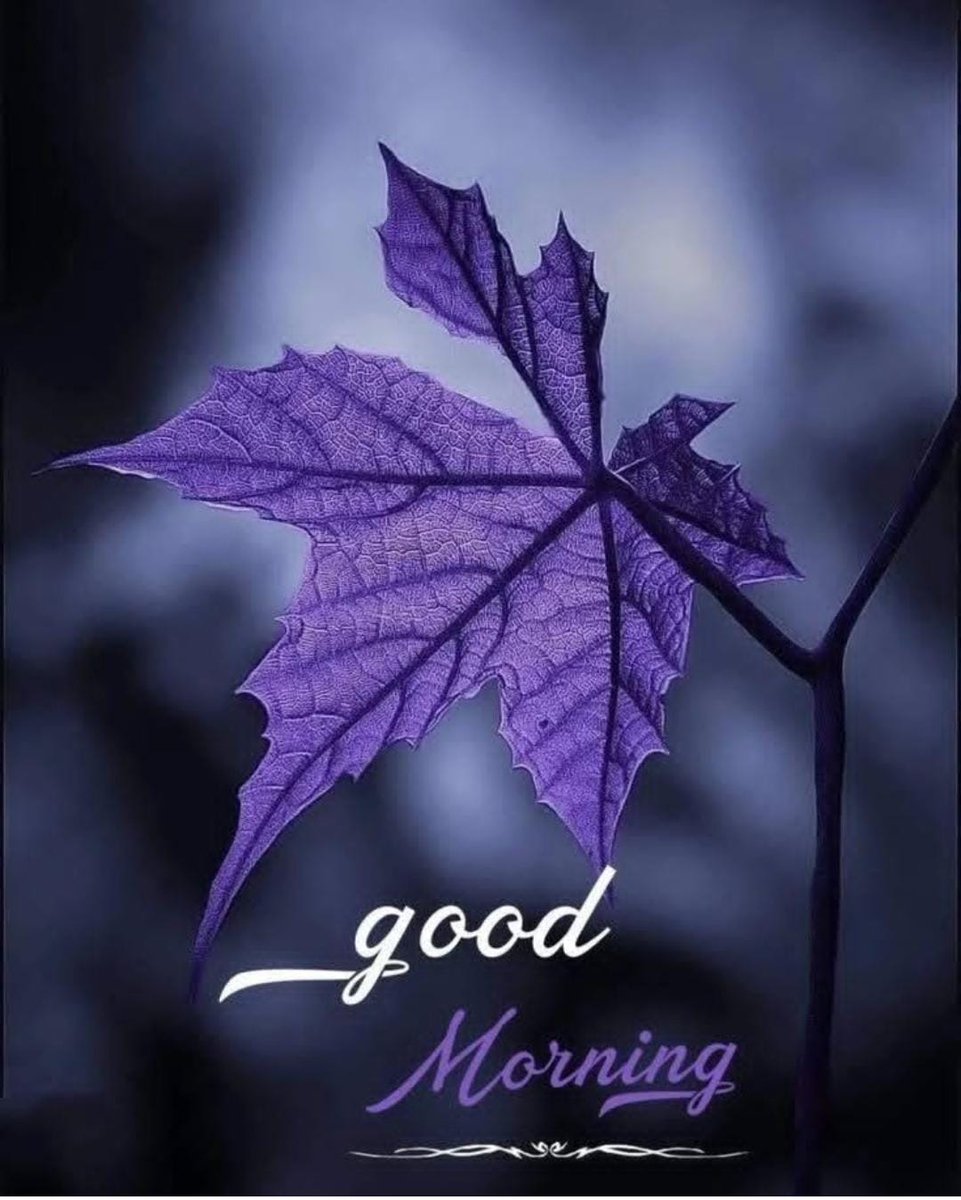 samiraa19254405's tweet image. #GoodMorningTwitterWorld 🌻🌻🌻🌻