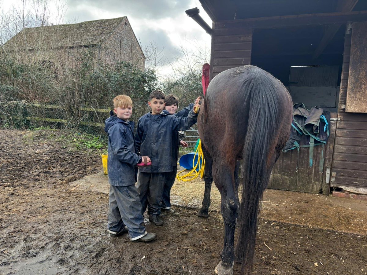 BHallTrips's tweet photo. Group 3- horse grooming https://t.co/OkdXlcLpCk