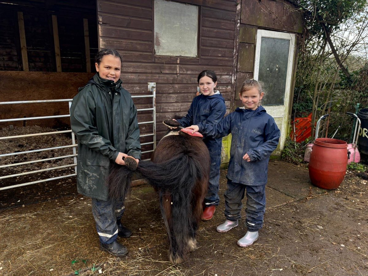 BHallTrips's tweet photo. Group 3- horse grooming https://t.co/OkdXlcLpCk
