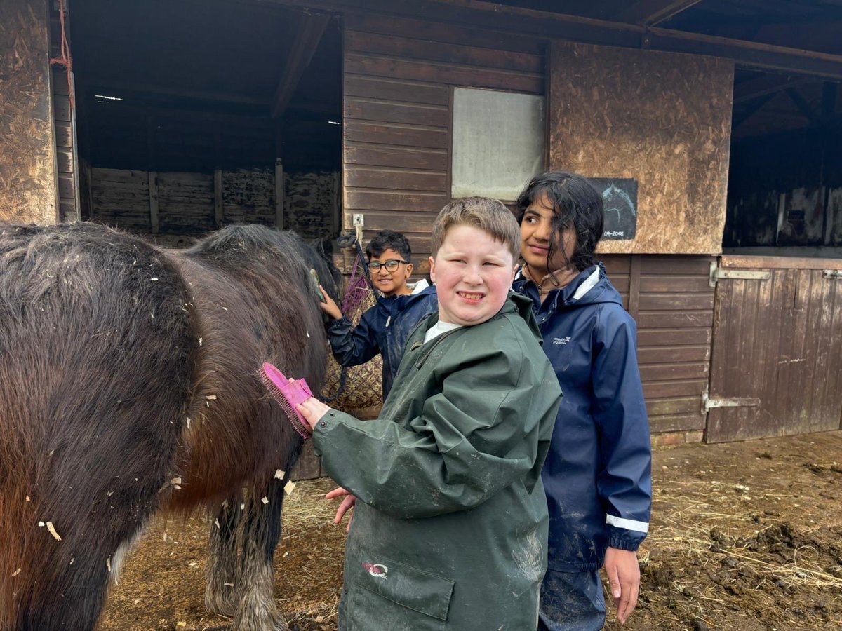 BHallTrips's tweet photo. Group 3- horse grooming https://t.co/OkdXlcLpCk
