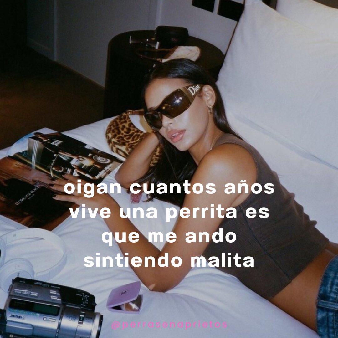 perras en aprietos 💌 tweet media