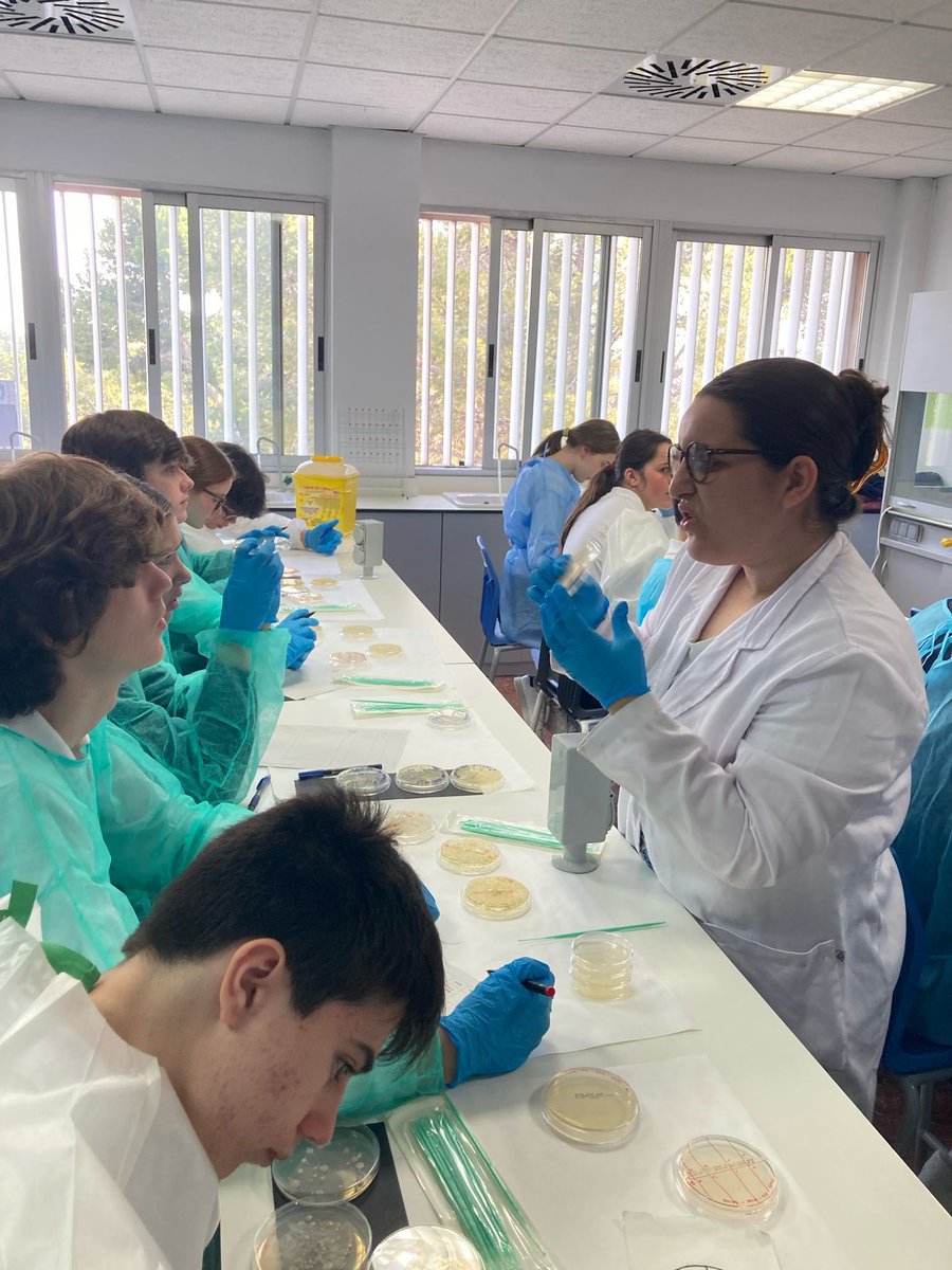 SWICEU/MicroMundoCEU tweet media