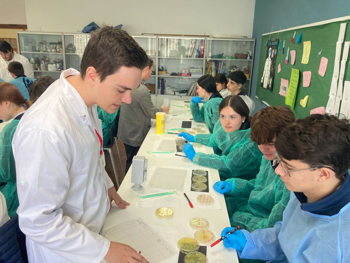 SWICEU/MicroMundoCEU tweet media