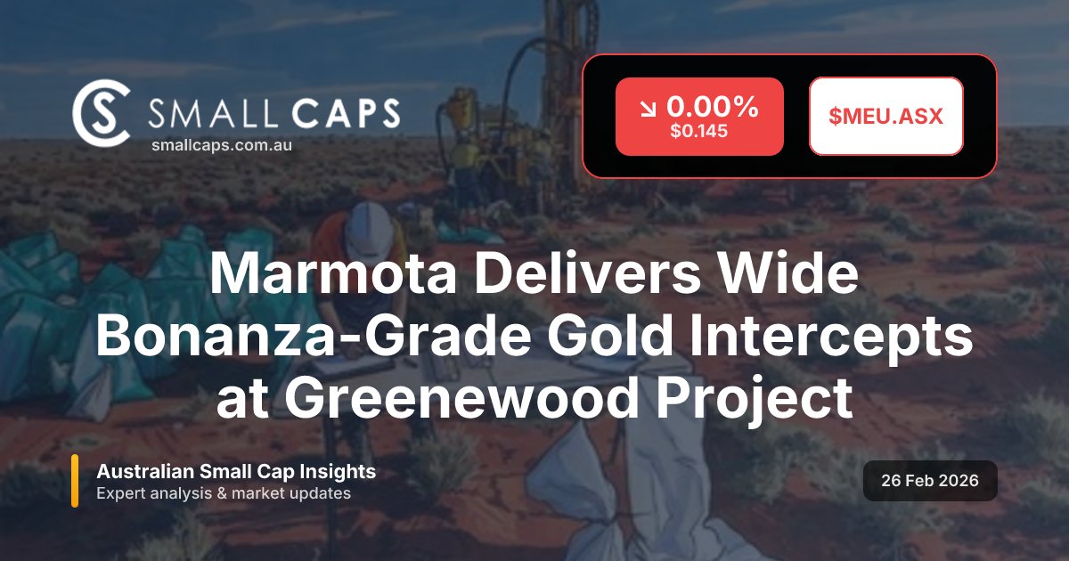 Small Caps tweet media