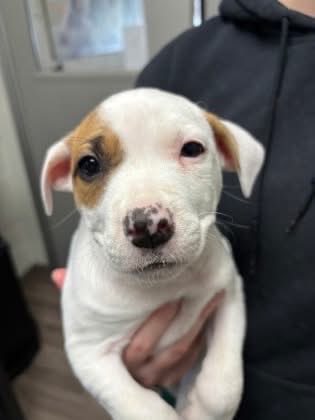 my grandma put me on hold