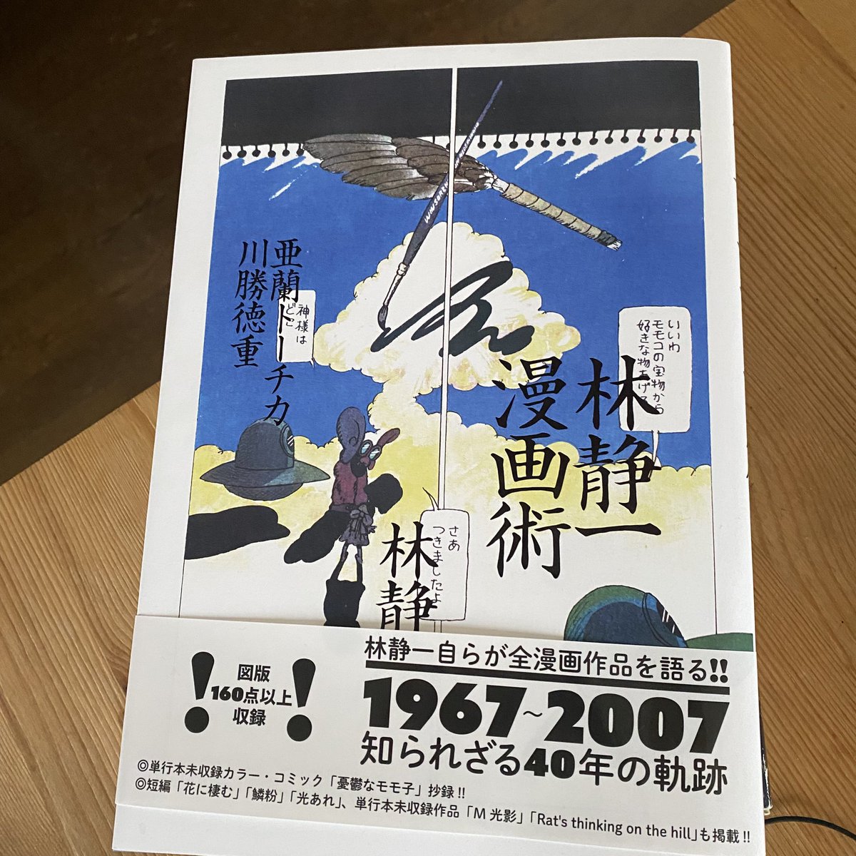 気になっていたらまどがコミティアで買ってきた