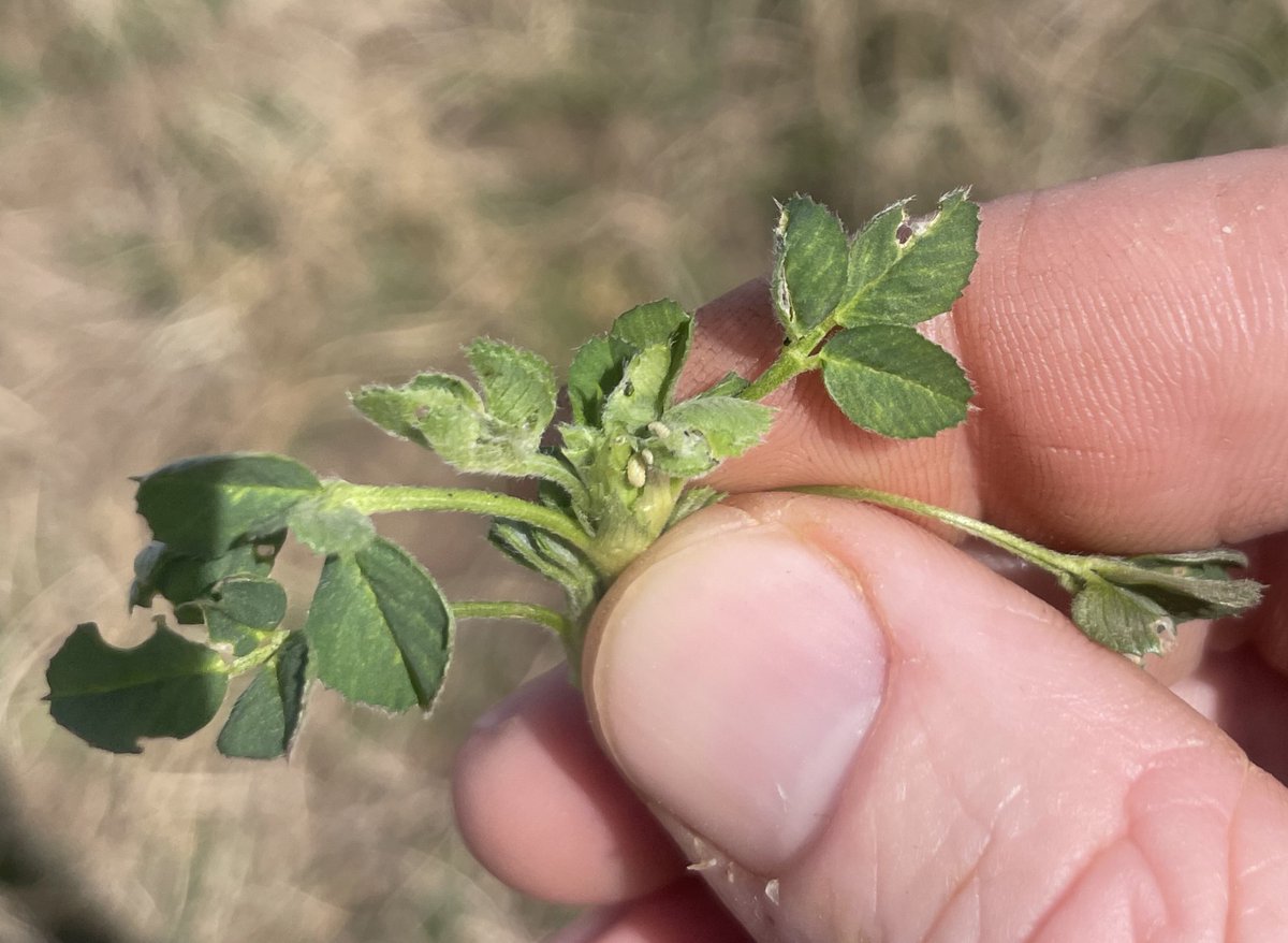 Jeff Seiler tweet media