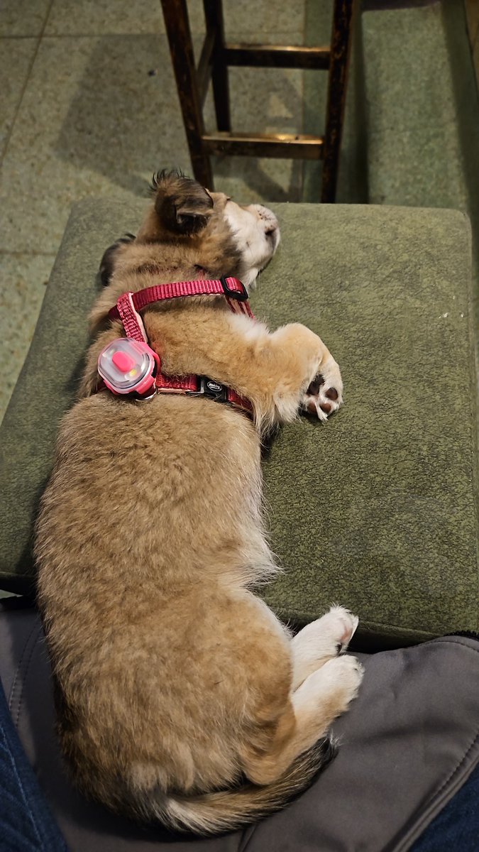 Jason Lambert tweet media