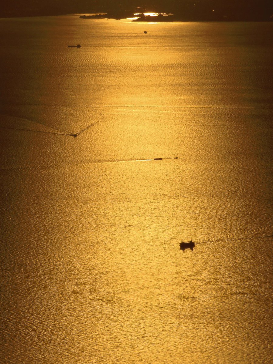 Post by 荒木健太郎 on X: 光の風景。