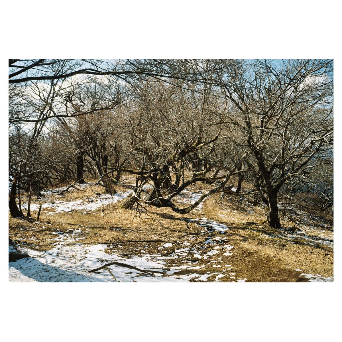 hacograph (@hacograph) on Twitter photo 