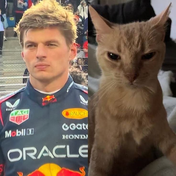 Daily Dose of Max Verstappen (@bluedposts) on Twitter photo 