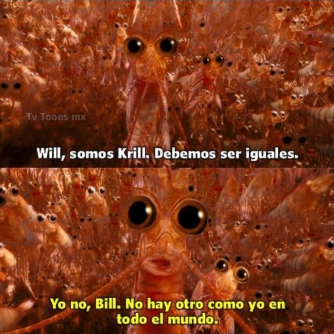 ¡Buenas noches! 🌙