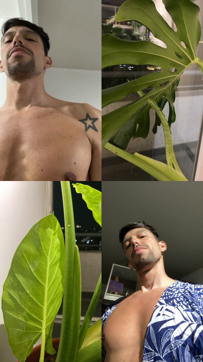 🦎