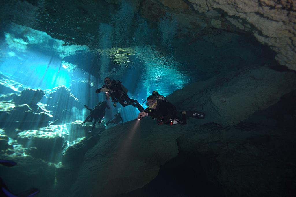 Rusty Fish🌊 tweet media